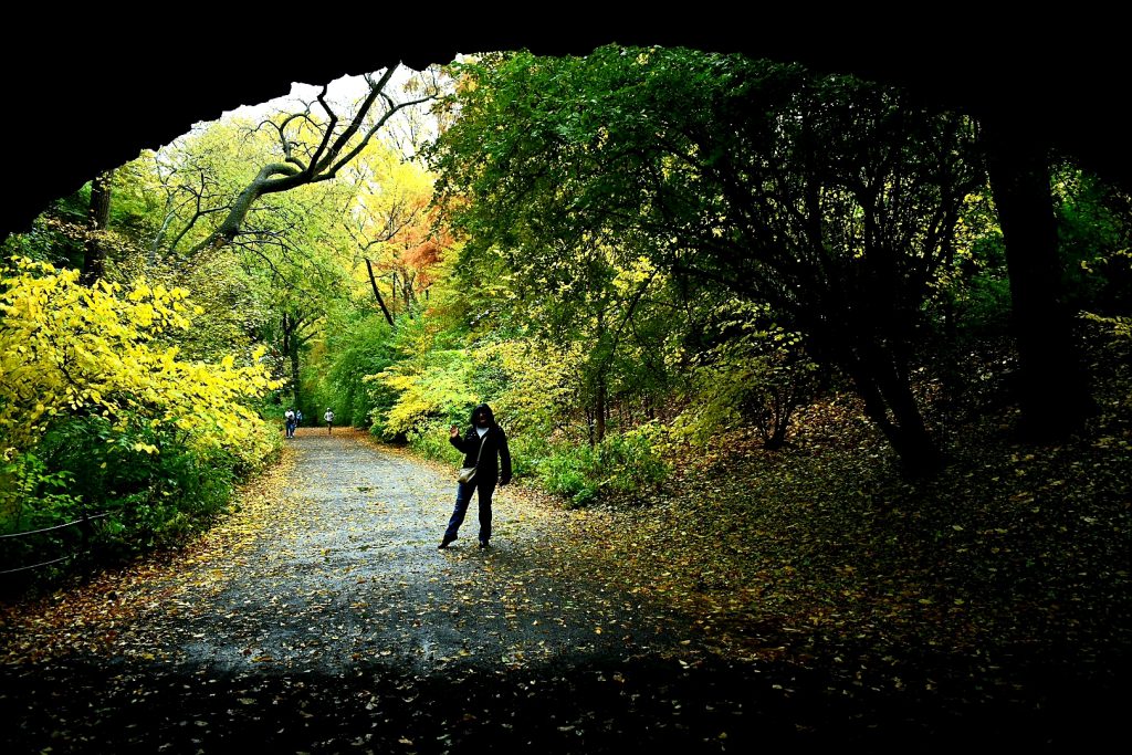Central Park