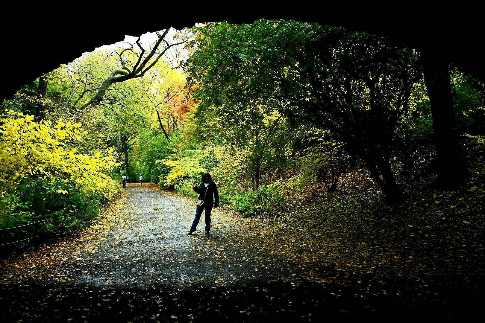 Central Park